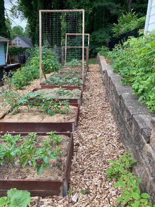 List of free seed catalogs for 2026