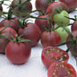 Chocolate Cherry Tomato Seeds