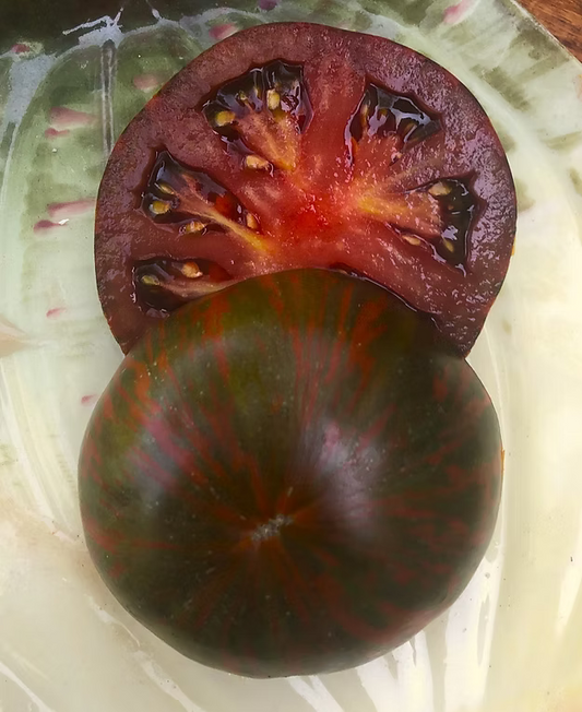 Chocolate Stripes Tomato Seedling