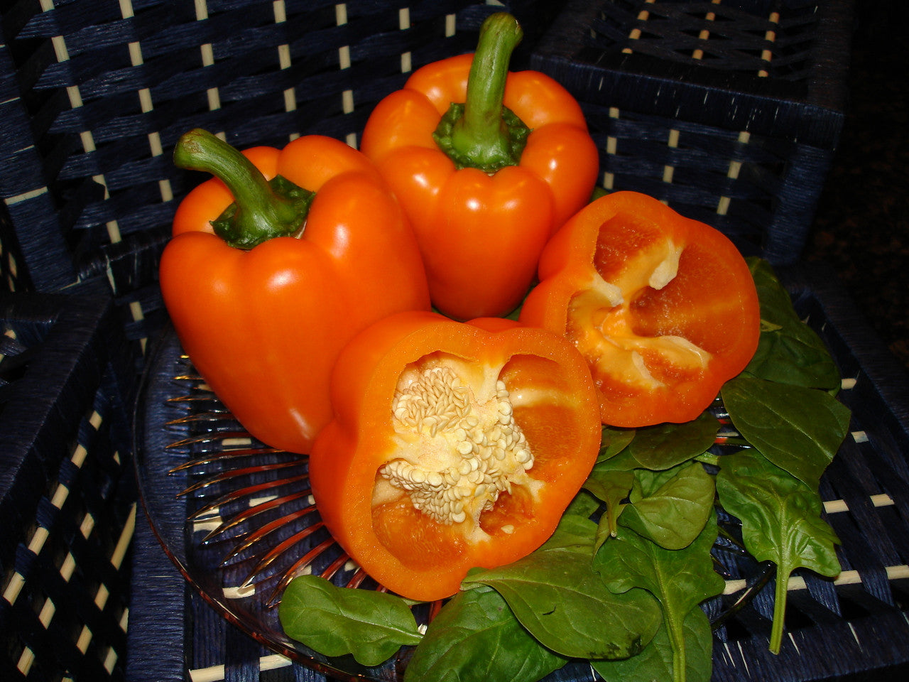 Orange King Bell Pepper Seeds